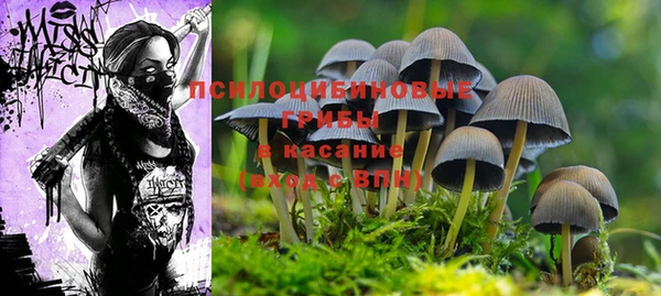 дживик Абаза