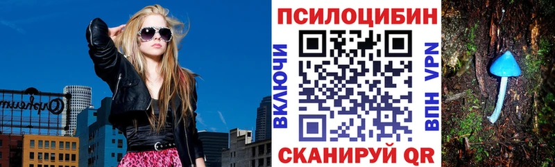 KRAKEN сайт Новотитаровская Псилоцибиновые грибы мухоморы